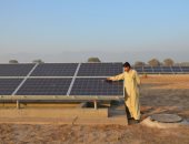 "البحث العلمى": تكلفة مشروع الطاقة الشمسية ببرج العرب 22 مليون يورو