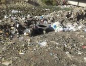 أهالى يشكون: القمامة تغطى المجرى المائى لترعة المحمودية بالإسكندرية 