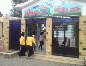 بالفيديو والصور.. بيت السباع بحديقة حيوان كفر الشيخ الوحيد بمحافظات الدلتا