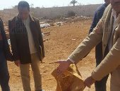 بالصور.. الرقابة الإدارية بالوادى الجديد تكشف مخالفات جسيمة بشون القمح