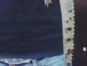 صياد يعثر على تمساح صغير نافق فى الرياح التوفيقى بالقليوبية