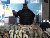 تجار الأسماك بالسويس يخاطبون مجلس الوزراء لوقف قرار تصدير "سمك الخليج"