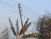 الكهرباء ترد: إدراج شبكة الجهد المنخفض للكهرباء بقرية أبو الحنفى للصيانة
