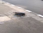 شكوى من كابلات كهرباء مكشوفة على رصيف كورنيش الشاطبى فى الإسكندرية