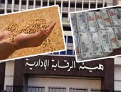 الرقابة الإدارية ترسل 3 قضايا فساد لـ"الكسب غير المشروع".. والجهاز يشكل لجانًا لفحص ثروة المتهمين بقضايا تهريب الأدوية المدعومة ومخالفات القمح وجمرك سفاجا.. ومصادر: 100 مليون جنيه حصيلة الفساد