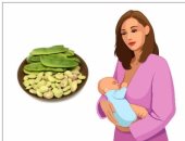 للمرأة.. 3 فوائد صحية تتمتعين بها بعد تناول الفول الأخضر أثناء الرضاعة