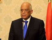 بالفيديو والصور.. رئيس البرلمان يعلن تشكيل جميعة صداقة مصرية روسية