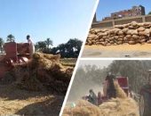زراعة جنوب سيناء: حصاد 147 فدانا من القمح و81 فدان شعير