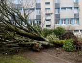 انقطاع الكهرباء عن 180 ألف منزل شمال غربى فرنسا بسبب عاصفة قوية