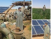 نقيب مهندسى الوادي الجديد: دربنا أعضاء لإنشاء محطات الطاقة الشمسية للمزارعين 