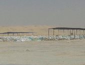 التموين: استلام 150 طن قمح من المزارعين فى أول أيام التوريد