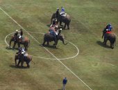 بالصور ..انطلاق بطولة كأس ملك تايلاند لرياضة بولو الفيلة 2017 فى بانكوك