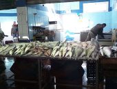 بالفيديو والصور .. ارتفاع جنونى فى أسعار الأسماك فى القاهرة والسويس
