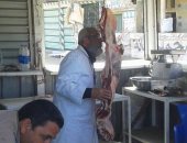 بالصور .. إعدام كميات كبيرة من اللحوم والألبان في حملة بالمنصورة