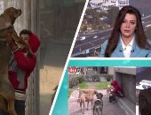 "ON live" تذيع فيديو طفل الراقص مع الكلاب مع رجل الأعمال أبو هشيمة