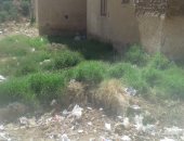 بالصور.. مياه الصرف تهدد سكان حى الجناين بمدينة الداخلة