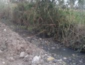 بالصور.. أهالى عزبة منصور بالشرقية يطالبون بتغطية مصرف ورصف طريقه