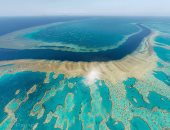 خبراء يحذرون: الاحتباس الحرارى يشكل خطرا كبيرا على الحاجز المرجانى العظيم