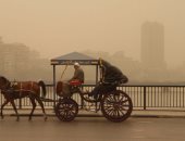 تعرف على إرشادات المرور لتجنب الحوادث بسبب العاصفة الترابية 