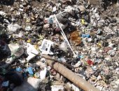 قارئ يشكو من تراكم القمامة بشوارع قرية "سنبو الكبرى" فى الغربية 