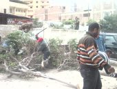 حى شرق يرفع المخلفات والأشجار الساقطة نتيجة الطقس السيئ بالإسكندرية