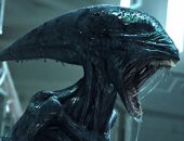 جزء جديد من سلسلة الرعب Alien.. والمخرج يكشف عن اسم الفيلم