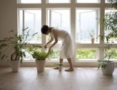 دراسة: النباتات المنزلية يمكن أن تقلل من تلوث الهواء بنسبة 20%
