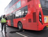 الشرطة البريطانية: بعض المارة تعرضوا لحادث دهس أعلى جسر ويستمنستر