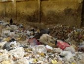 بالصور.. تلال القمامة والحيوانات النافقة تهدد صحة تلاميذ مدرسة بأسوان
