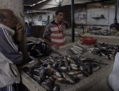 بالفيديو.. مقاطعة الأسماك تصيب أسواق كفر الشيخ بالشلل 