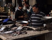 "شعبة الأسماك بالدقهلية": سعر "بوكشة" السمك ارتفعت من 200 إلى 500 جنيه