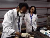 بالصور.. "الآثار" تفتتح أكبر معمل للترميم المؤقت لمركب خوفو الثانية