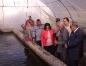 نائب وزير الزراعة: خريطة صنفية للاستثمار فى الاستزراع السمكى بمصر