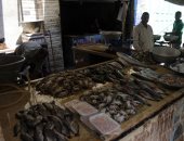 رئيس شركة مزارع قناة السويس: تكاليف إنتاج الأسماك تضاعفت