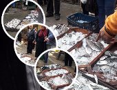 النائب محمد عبد الله يطالب بوقف تصدير الأسماك لمنع ارتفاع أسعارها