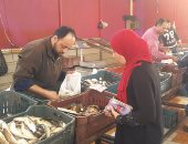 بالفيديو.. بائع سمك ببورسعيد: الأسواق المحاربة للغلاء لم تتأثر بالمقاطعة