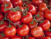 الشعب يحارب جشع التجار بالمقاطعة.. حملة جديدة على جنون الطماطم