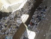 بالصور.. شكوى من انتشار القمامة بشارع الصحابة فى القلج بالقليوبية