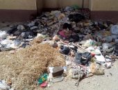 بالفيديو..القمامة والحشرات تحاصران مكتب صحة المعادى