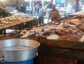 الغرفة التجارية: فرض رسم صادر على الأسماك سيؤدى لتراجع الأسعار قبل "رمضان"