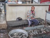  ركود حركة البيع فى أسواق السمك بعد حملة "بلاها سمك خلوه يعفن"