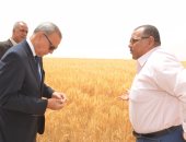 بالصور..محافظ قنا يشهد انطلاق موسم حصاد القمح بمشروع المليون ونصف فدان