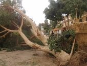بالصور.. قارئ يرصد الخسائر المادية بسبب عاصفة الخميس فى سوهاج
