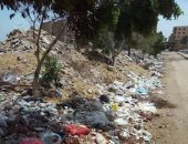 بالصور.. شكوى من انتشار القمامة فى حدائق الأهرام