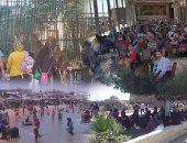 بالصور.. الحياة بقى لونها بمبى.. الآلاف يحتفلون بأعياد الربيع وشم النسيم فى المحافظات..الحدائق العامة والشواطئ والمصايف كاملة العدد..والأمن ينتشر فى الشوارع لمنع التحرش  