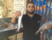 بالفيديو والصور.. تموين الوادى الجديد يجرى حملات على محلات الأسماك فى شم النسيم 