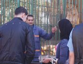 مدير حديقة حيوان الإسكندرية: الإقبال ضعيف ونتوقع 15 ألف زائر اليوم