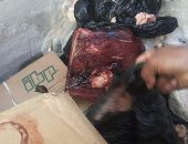 ضبط 1250 كيلو لحوم وكبدة فاسدة بمركز المراغة فى سوهاج