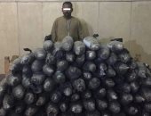 الداخلية: إحباط تهريب 300 كيلو جرام بانجو بحوزة متهم فى المنيا