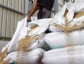 محافظ البحيرة : حظر نقل القمح خارج حدود المحافظة وعقوبة تنتظر المخالفين